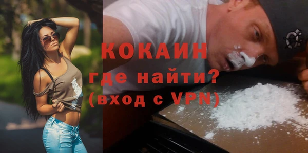 крисы Абаза