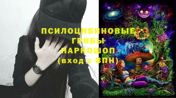 крисы Абаза