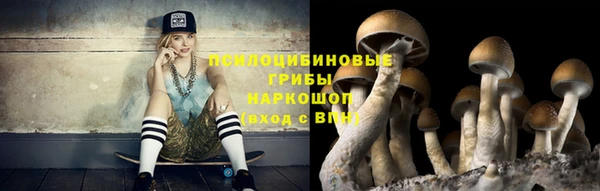 индика Алексеевка