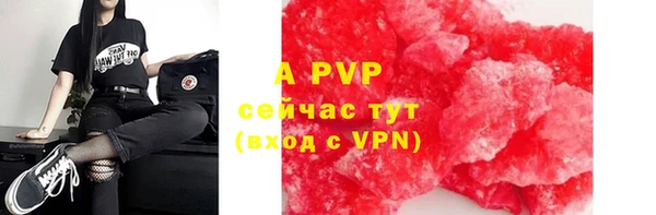 крисы Абаза
