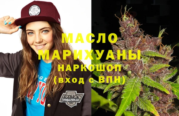 дмт Пересвет